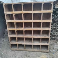 طيور ودجاج • العمارة ماجدية • ١٦٥×١٤٠سم