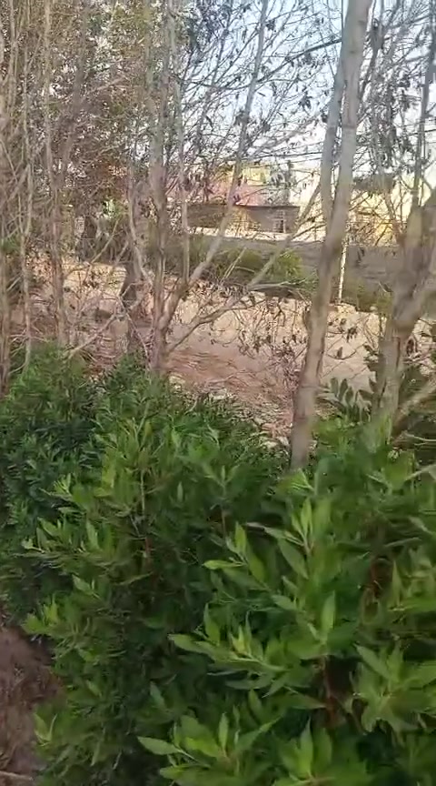 ارض طابو زراعي سند ٢٥ في ابي غرق قريبه جدا من شارع حله كربلاء وطريق الزائرين تبعد ٣٥٠ متر الموقع خلف مجمع الصفوه مباشرة المساحه ١١٢٥م الواجهه ٢٢ متر ونص النزال ٥٥ متر تقع على شارعين مزروعه نخل وبعض اشجار الفاكهه متوفر ماء وكهرباء مسيجه (بي ار سي) أمامها ساحة نزالها ١٢ متر والعرض ٢٢ متر للاستفسار مراجعة مكتب الضاحية للعقار هاتف ***********
