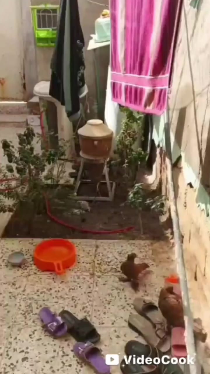 للبيع بيت 120 متر غرفتين نوم واستقبال وصاله ومطبخ وصحيات داخل وخارج وحديقة زغيرة ارضيه بوسلين السطح فرشي بسعر 45 وبي مجال بحي الرحمه شارع الكيات للاستفسار اكثر الاتصال علئ *********** وت ساب ***********
