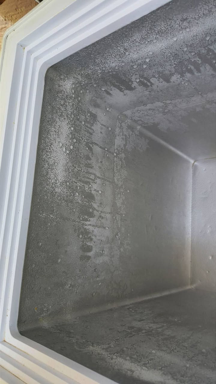 السلام عليكم مجمده للبيع نضيفه وتجمد تجميدها فول وع الفحص سعرهه 150 وبيهه مجال


**إذا كنت صاحب هذا الإعلان وتريد حذفه لأي سبب، رجاءا أرسل رسالة إلى الدعم الفني**