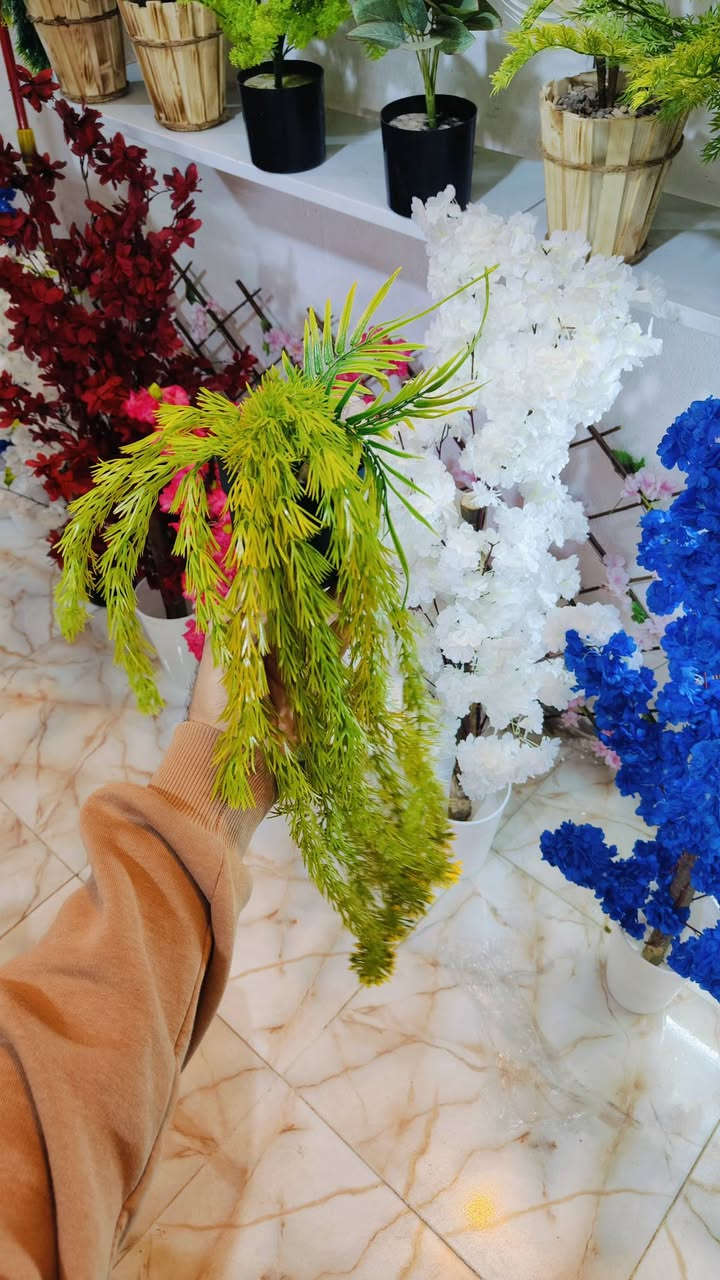 اغصان متدلي اكثر من موديلا 🎋☘️
اشكال وموديلات مختلفه  
عنوان المحل #واسط قضاء #النعمانيه 
 الشيشان الجديد الشارع الرابع
  محل الغيث للتسويق  محل الغيث للتسويق المنزلي


**إذا كنت صاحب هذا الإعلان وتريد حذفه لأي سبب، رجاءا أرسل رسالة إلى الدعم الفني**