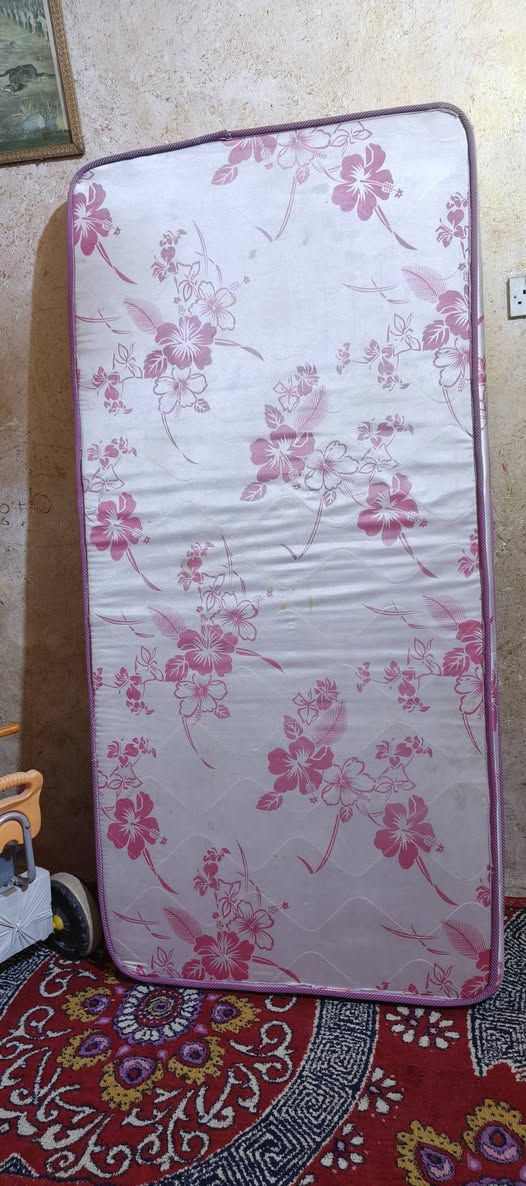 سلام عليكم معرض صاج لبيع سعر 100 وبي مجال وجرابيه كلش نضيفه سعرهه 35 ومندر مستعمل قليل سعر لمندر 25 عنواني بصره حيانيه


**إذا كنت صاحب هذا الإعلان وتريد حذفه لأي سبب، رجاءا أرسل رسالة إلى الدعم الفني**