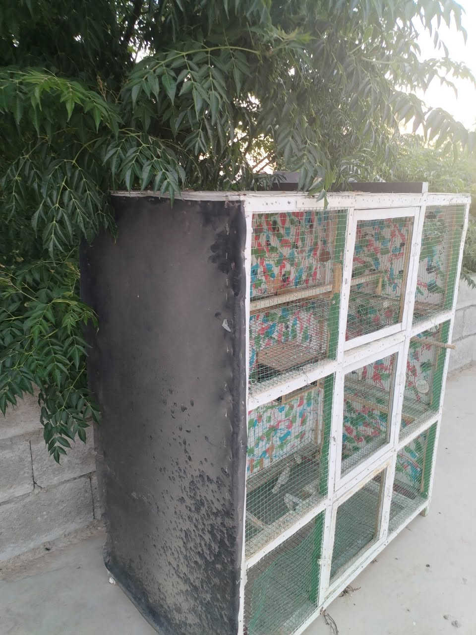 ئەم قەفەزە بۆ فرۆشتن   نرخێکی موناسب بنوسن پیرۆزتانبێت
ناونیشان سلێمانی


**إذا كنت صاحب هذا الإعلان وتريد حذفه لأي سبب، رجاءا أرسل رسالة إلى الدعم الفني**