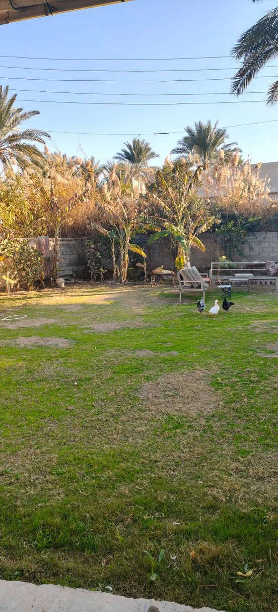 🏡 دار للبيع 🏡
يحتاج مسبح ويؤجر ك مزرعة 
 سكن 
استثمار 
داخل البيت نهر صغير (گود) 
حديقة تتميز ب اكثر من نوع شجرة مثمرة 
عنب رمان تين موز لالنكي وليمون 
📍البو جامل  يبعد دقيقة عن الشط– سلمان باك – المدائن / بغداد
📐 المساحة: نص دونم المبنية 122 متر طابق
📜 الطابو: طابو زراعي 25
✨ تفاصيل:
• استقبال 5*4
• غرفة نوم 6*4
• غرفة نوم 4*4
•صالة  
• مطبخ
حديقة امامية وخلفية 
📲 للاستفسار والمشاهدة:
واتساب أو اتصال: ***********
