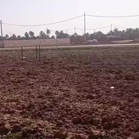 طابو زراعي • سند ٢٥ • مزار العلوية شريفة