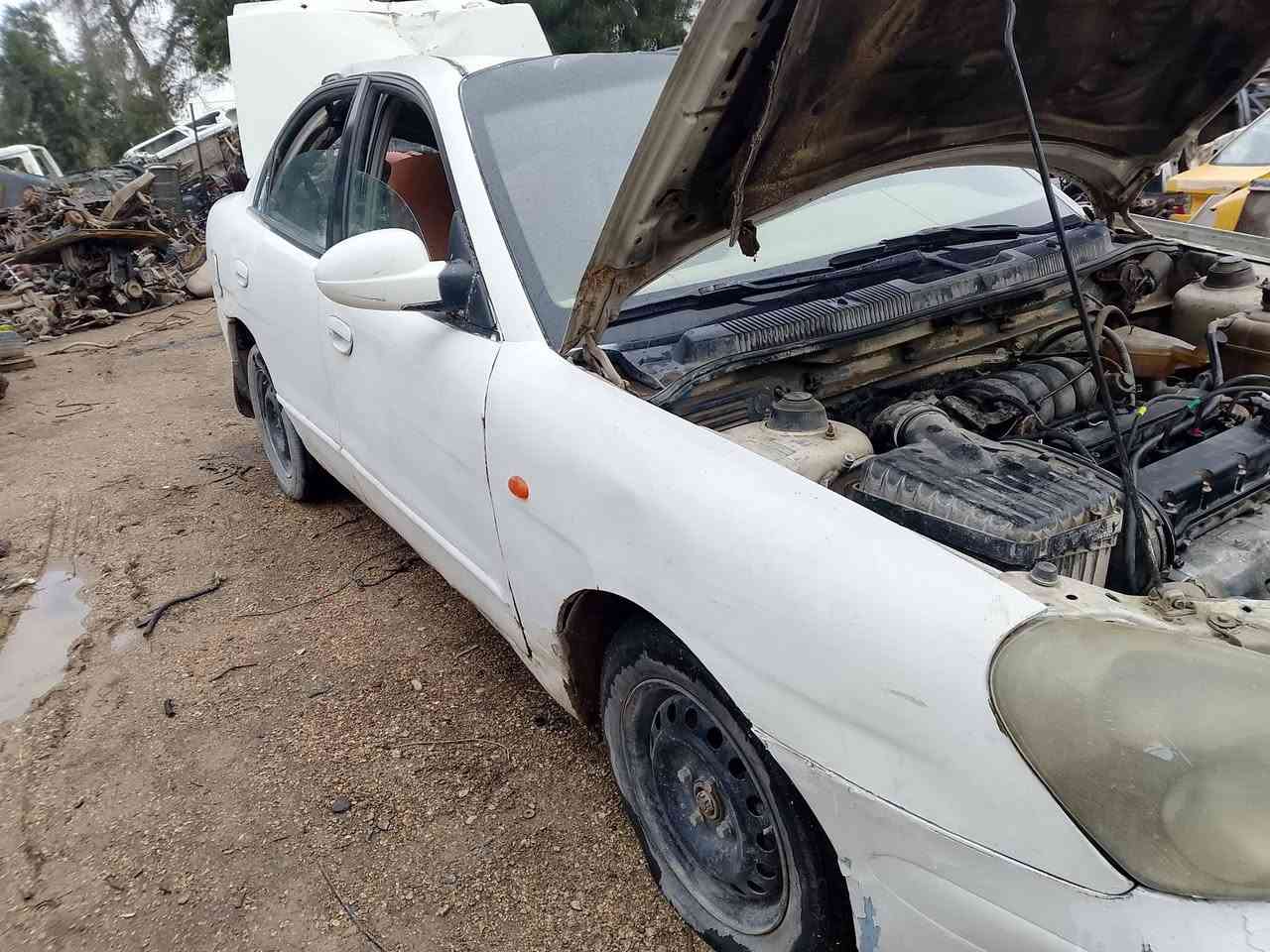 تفصيخ بابل مشروع المسيب دق على ال***********
