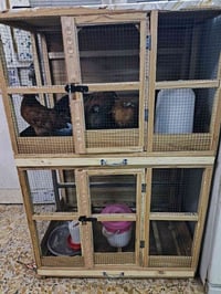 قفص للبيع السعر 50 وبي مجال الرقم 07722130247