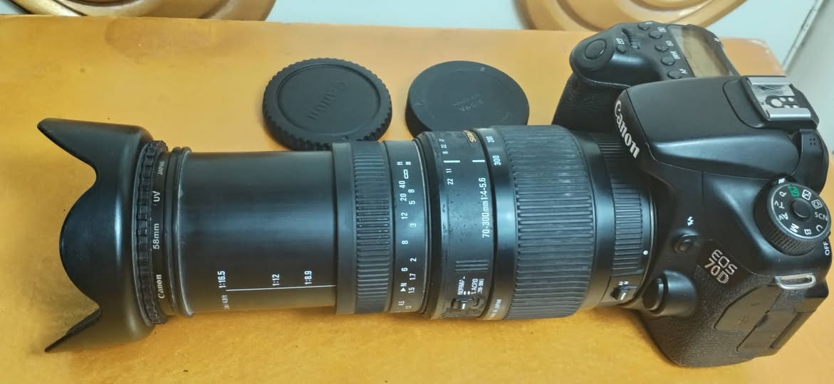 ✅السلام عليكم 📷🇮🇶
✅شباب كامره كانون 🇮🇶
✅70D 📷🇮🇶
✅شاشه قلاب 📷🇮🇶
✅لمس 📷🇮🇶
✅واي فاي 📷🇮🇶
✅ملحقات الكامره 📷🇮🇶
✅عدسه 18.55 📷🇮🇶
✅زوم رياضي 70.300 📷🇮🇶
✅كرب 📷🇮🇶
✅حزام كتف 📷🇮🇶
✅شاحنه الاصليه 📷🇮🇶
✅بطاريه عدد٢ الاصليه 📷🇮🇶
✅جنطة للكامره مقسمه📷🇮🇶
✅ستفسار اكثر تفضلو 🇮🇶
✅خاص اوتصل 📷🇮🇶
✅*********** 📷🇮🇶
