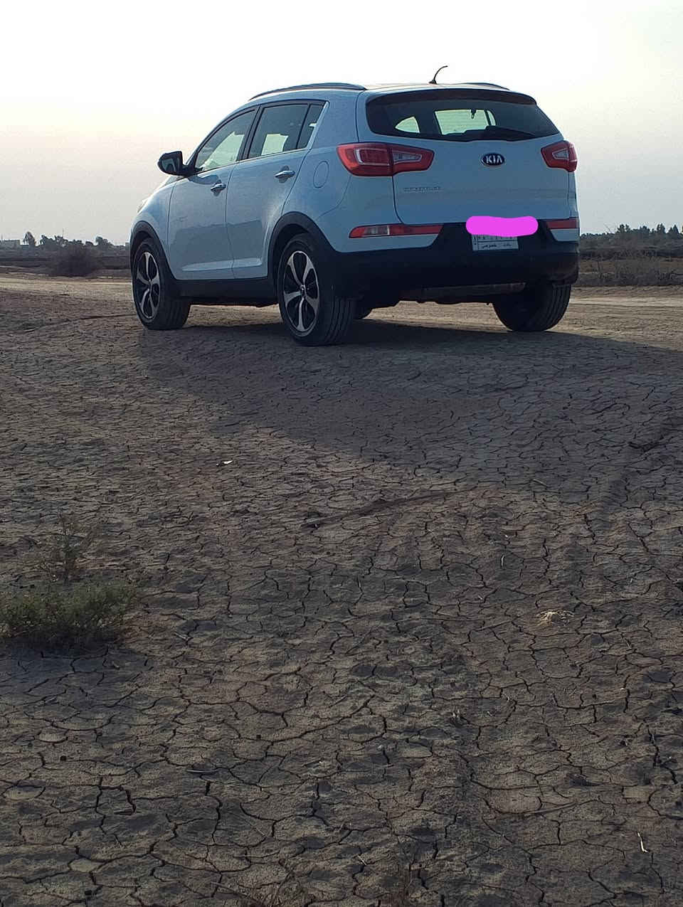 للبيع كيا سبورتاج 2014 شكل 16 مكفوله كفاله عامه رقم بغداد سياره جاهزه تخم تاير كوري قبل اسبوع شديته***********0
