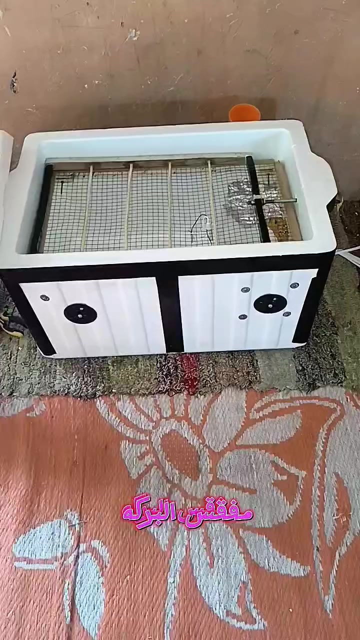 يا الله متوفر فقاسه تقليب خارجي مثل ماموضح بلفديو تشيل60 بيضه تريد تقليب يدوي تشيل 100 بيضه سعر الفقاسه65 #شرط ماتفقس ترجع  وهاي تجربه الزبائن


**إذا كنت صاحب هذا الإعلان وتريد حذفه لأي سبب، رجاءا أرسل رسالة إلى الدعم الفني**