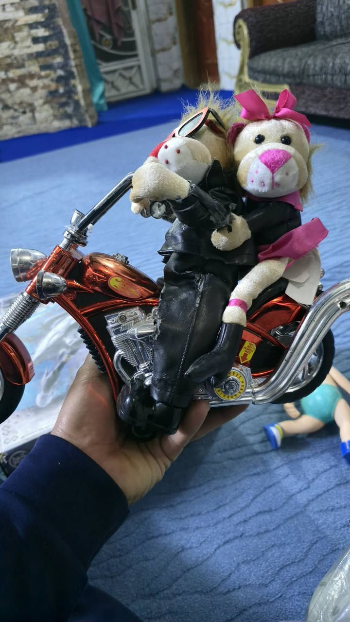 متوفر السعر  ١٠ الف


**إذا كنت صاحب هذا الإعلان وتريد حذفه لأي سبب، رجاءا أرسل رسالة إلى الدعم الفني**