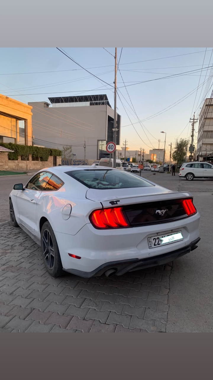▪️موستانج / mustang 2021 ▪️
▪️مواصفات / primum / محرك : V4 .2,3 كبس
▪️رقم اربيل سنوية جديد ، ماشي 46 الف ميل 
▪️بولنت جاملغ صبغ ، قطعتين مبدل بيلادي 
▪️بدون دواخل ، ايرباك فقط بردة طاك راجع سيستم 
▪️عنوان اربيل / *********** واتس اب ▪️

▪️سعر ( ١٦٩ $ ) معاملة ▪️ أربيل, العراق
