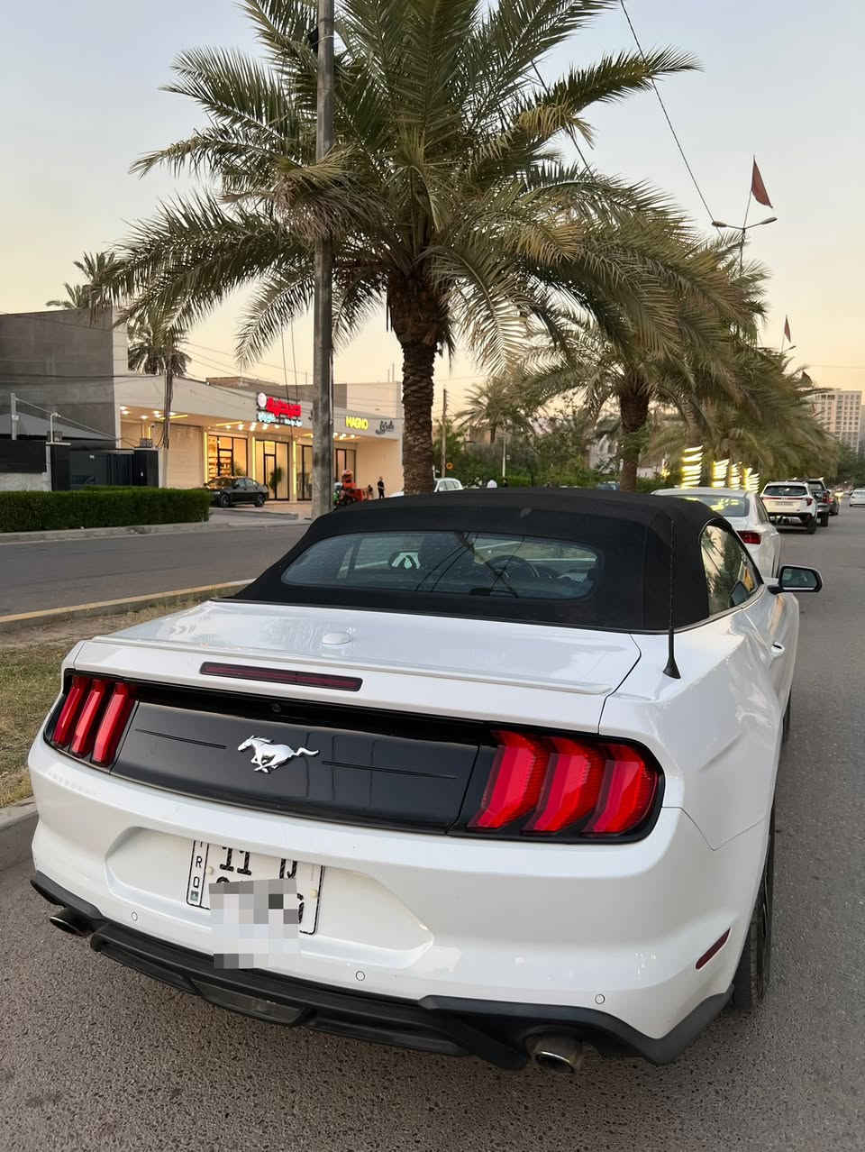 السلام عليكم
موستنك موديل 2023 كشف لون ابيض 🏎️

ماشيه ٣٣ 

فول مواصفات 

حادثها بسيط بدون ايرباك 

موضح بالصور التعديل مالتها 

صبغ بيها بس راس البنيد ورأس الجاملغ 

عنواني بغداد - السيدية 

السعر ب ١٧٨

رقمي *********** وبي واتساب

