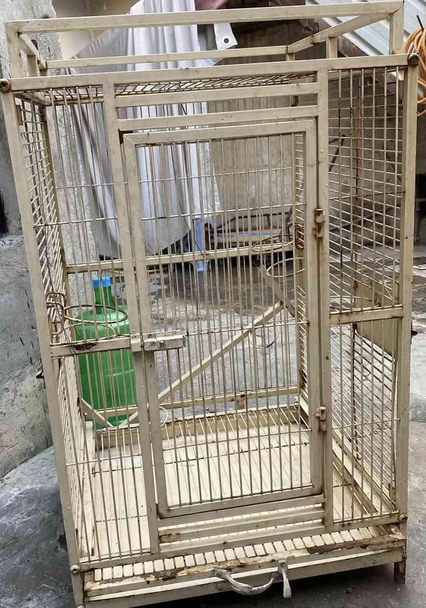 السلام عليكم 
قفص حديد كبير للبلابل او للببغاء 
سعر 50 
عنوان بغداد مدينة الصدر
للاستفسار ***********
