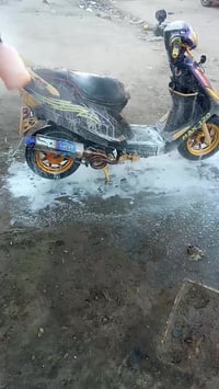 ماكس عدله • بوشه 55 • شرط الفحص