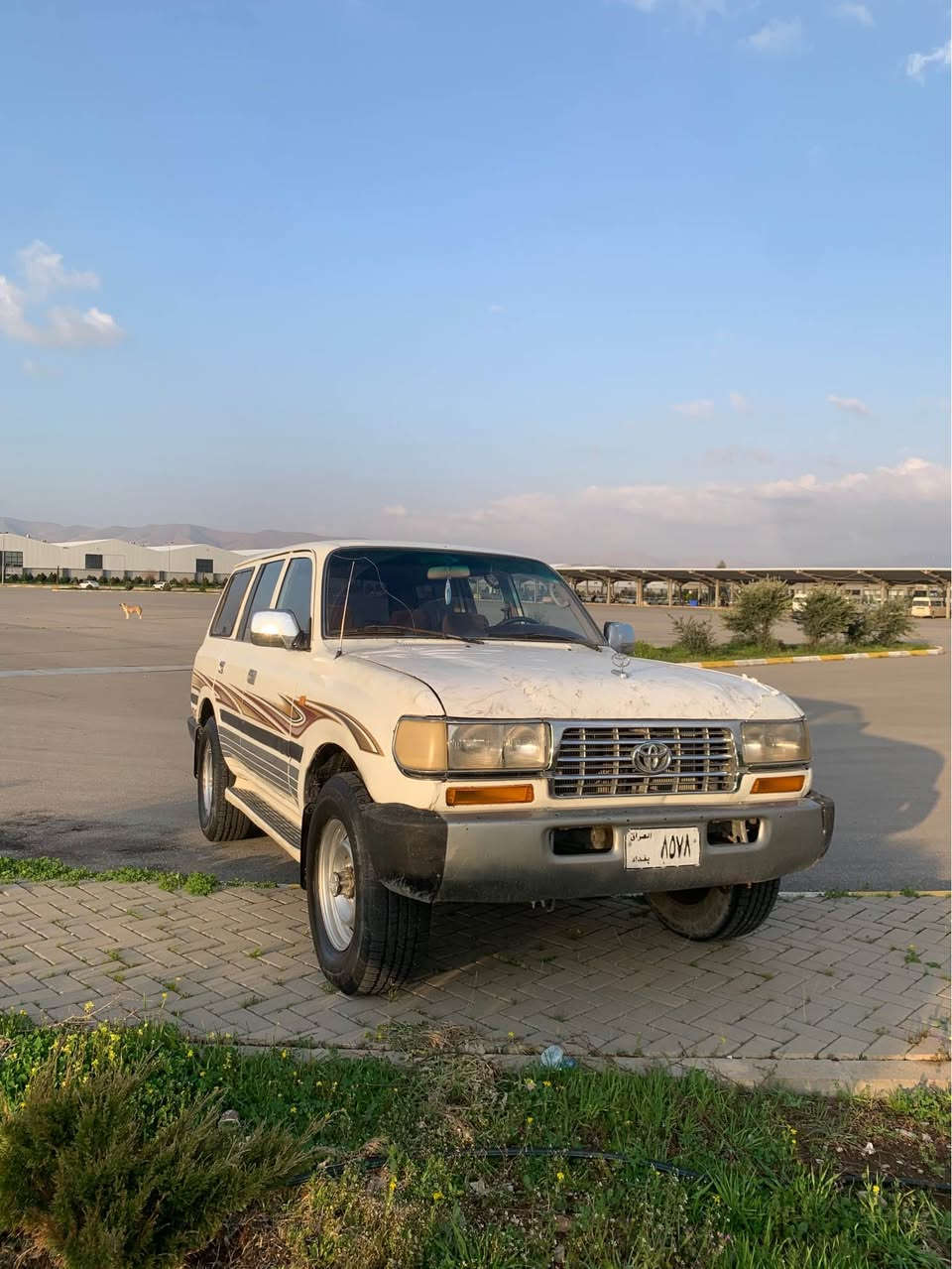 له يلا  عه له وي 
ئاڕم پلاستیک سلێمانی 
مە کینە ٣fی ٦گێڕ 
دە بڵ ئە کسل مە زبوت ئیشە کات 
گێڕو مە کینە و هە مو گیانی مە زبوت 
سە یارە کە بئ دە عمە 
زۆر جوان و ڕێک و پێکە هە مو گیانی بە شەرت 
کوشن و داشبڵ  بیلاد 
 ئە وە هە مو زانیارییە کانیە تی
جوابی کۆمێنت نادە مە وە موشتە ری تێل بکە 
لە سلێمانی 
سعر ٤٧ گە ڵا 
***********وەتس ئە پی لە سەرە السليمانية, العراق
