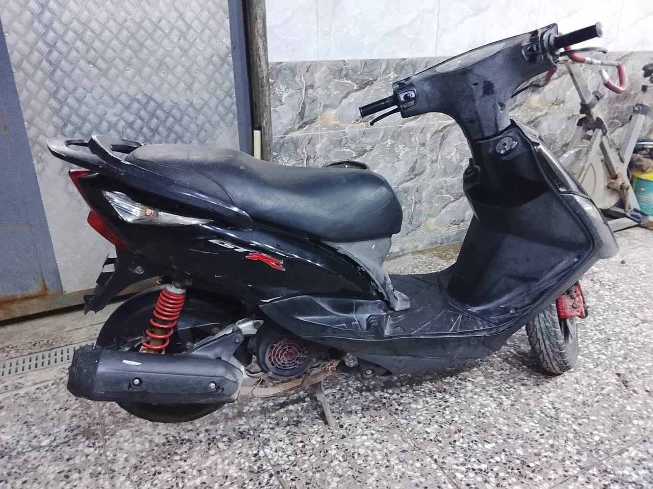 ماكس ثعلب للبيع بلادي ختم واحد مكان بغداد كماليه ***********شريه يتصل
