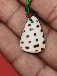 كلادة • بحرية • مختلفة