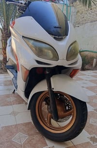 فورزه • ٢٠٠٨ • زينون