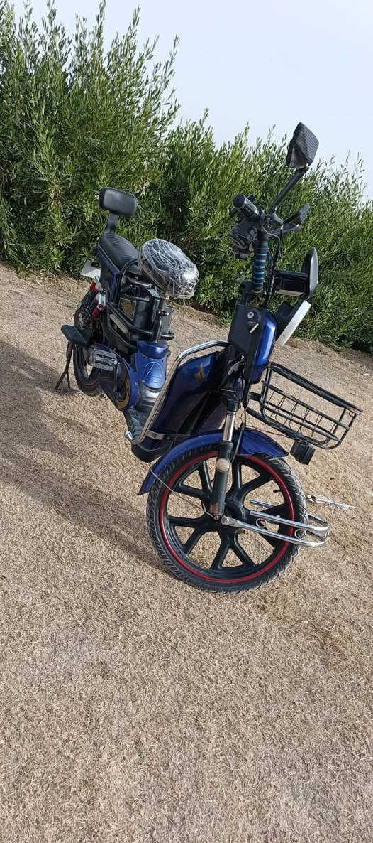 السلام عليكم
بايسكل شحن للبيع بايسكل جاهز مابي اي نقص+خمس+ابريك +لايت +شحنه السعر350بي مجال


**إذا كنت صاحب هذا الإعلان وتريد حذفه لأي سبب، رجاءا أرسل رسالة إلى الدعم الفني**