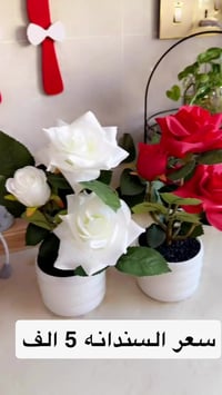 ديكور • وصول جديد • لحكووا