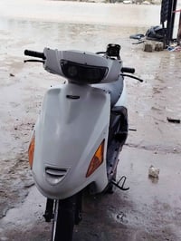 فراشة • مكاني • معمل ببسي