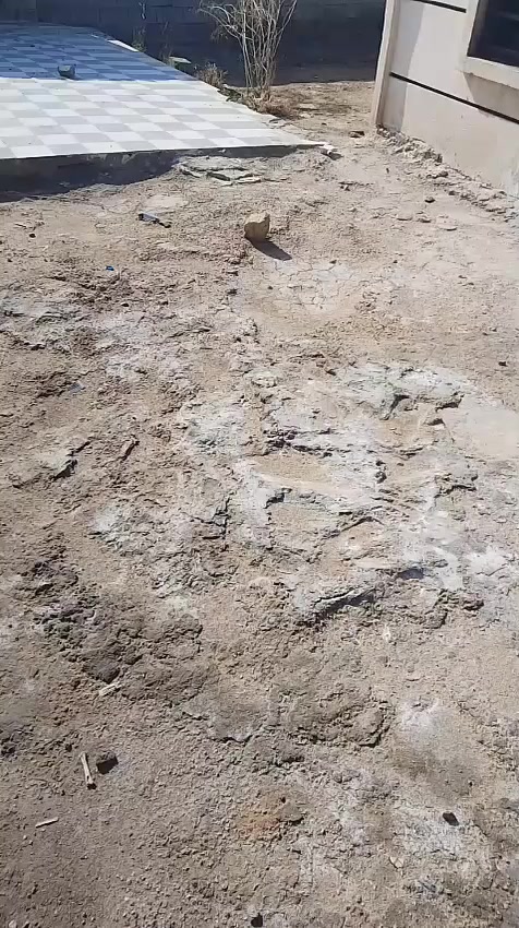 سلام عليكم  
يوجد بيت للبيع 
مساحه 350
***********
