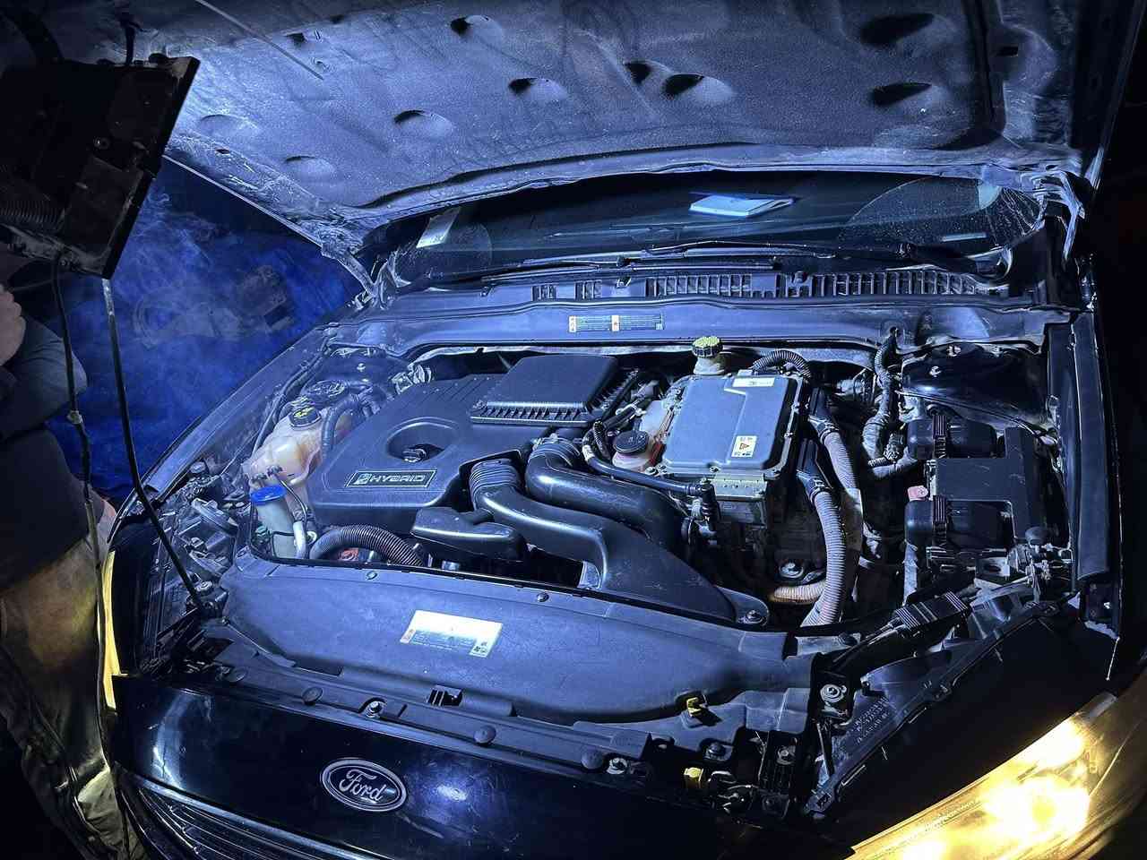 السلام عليكم
الصراحه يعجز لسان عن وصفهم امانه الله مايخلون بخاطر زبون ابد وينصحون وشغلهم نظيف 

بارك الله بيكم وبارك الله بالوالد انسان طيب وتعب على تربيتكم @حر فورد❤️

وطبعا ما انسى اخونه ابو علي  مروان الربيعي 
بالله الكريم انسان طيب ومايقصر ويا اي زيون واسعار مناسبه و يقدر المقابل ❤️

الصراحه اكو ناس حرامات يلزمون سبانه مع الاسف حرام عليهم كل درهم بطنهم
