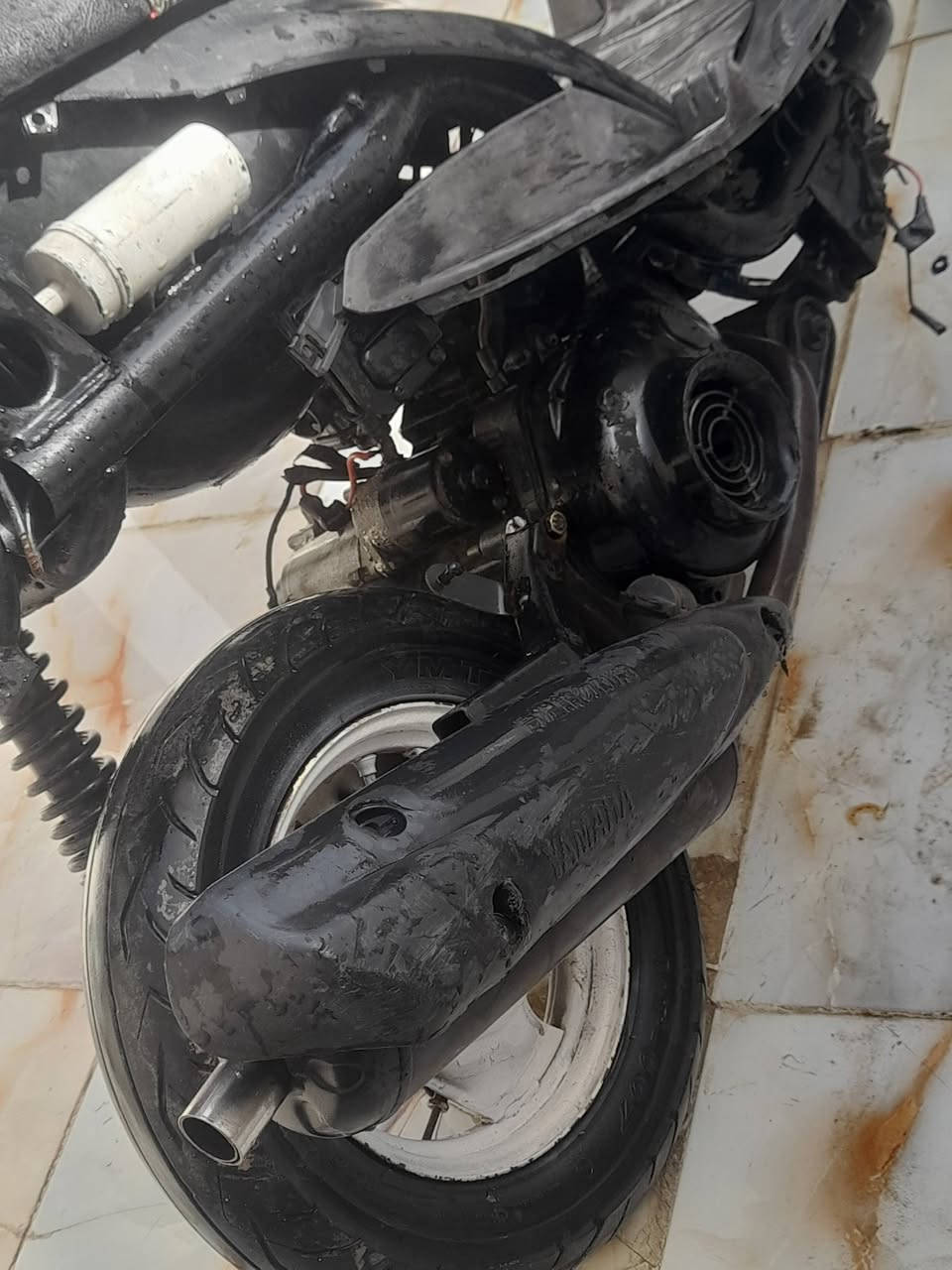 حربيه منغولي مفتوحه ولفات فقط ب ٣٠٠ مكاني اريدو ***********
