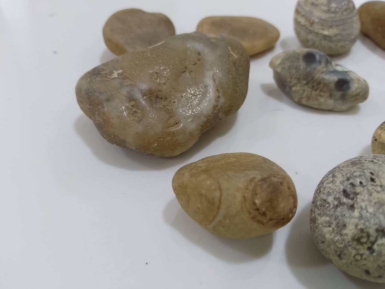 لمن يهمه الامر عندي كميه حجر عدد 160حجر


**إذا كنت صاحب هذا الإعلان وتريد حذفه لأي سبب، رجاءا أرسل رسالة إلى الدعم الفني**