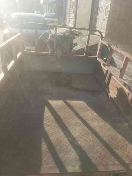 ستوته لبيع. راعي اصلي مندله 600 بيه مجال مكاني نجف ***********
