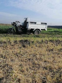 ستوته جمره • موديل ٢٠١٧ • ابو غریب