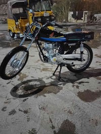 دراجه 2025 • أصلها بيضه • بدون أوراق