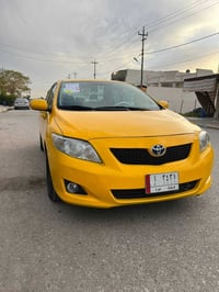 كورلا • ٢٠١٠ • ضرر