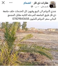 الناصرية • ارض • تعويض بلدية