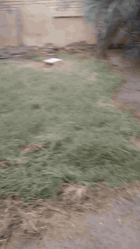 عواشه شارع النادي • ٥٨٥م • ٤ غرف