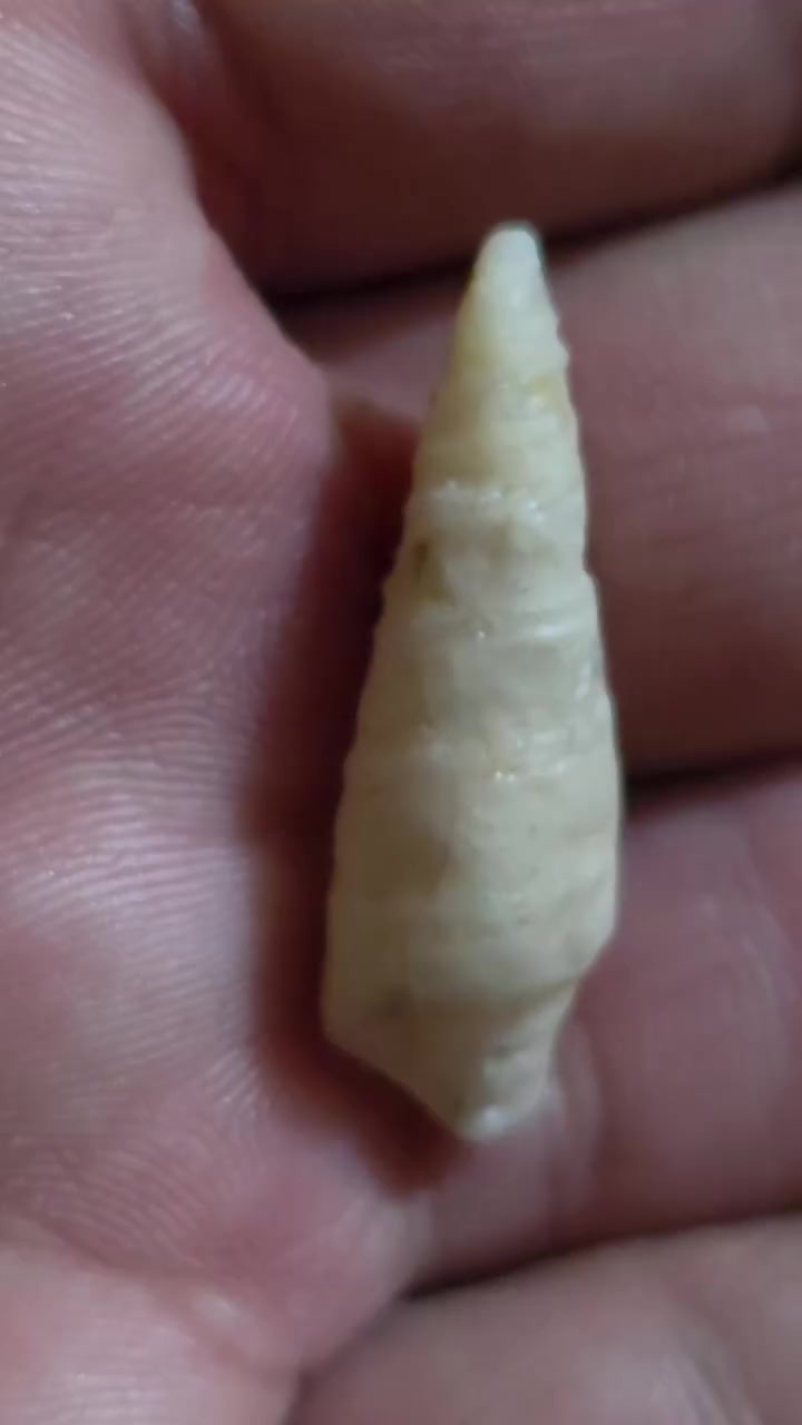 عطف لوي قديم جدن للبيع مكاني بغداد مدينه الصدر توصيل لا يوجد سعر جوه بلاش ٢٥ الف


**إذا كنت صاحب هذا الإعلان وتريد حذفه لأي سبب، رجاءا أرسل رسالة إلى الدعم الفني**