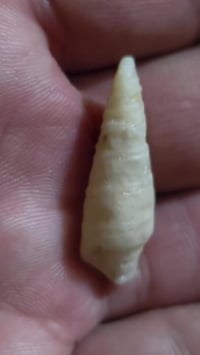 معطف قديم • مدينة الصدر بغداد • لا توصيل