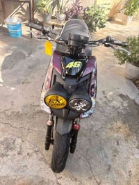 سكنس جبلي • ياباني • مكفوله