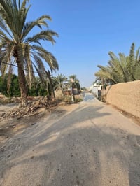 بستان ٦٠٠م • وقف مسجل • أبو الخصيب العوجه