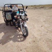 ستوته • ٢٠٢٠ • اوراق اصولي