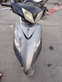 ماكس ثعلب • تخبل • للبيع