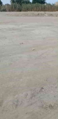 حي الكوفه • قطعة زراعيه ٢٠٠م • مقابل محطة عبدالحسن