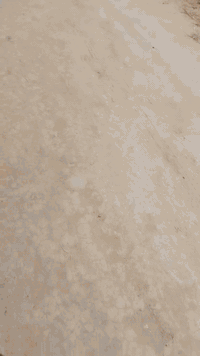 ارض زراعيه مساحه ٢دونم كاع روعه موقع ممتاز كافه الخدمات طويريج الرشيده قرب البواسماوي تبعد عن السيطره ٥٠٠ متر سند ٢٥ تفاصيل على الخاص مكتب حيدر للعقار ***********
