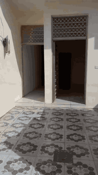 للبيع دار مناسب كلش 
مساحة 100 متر 5*20
زراعي قرار 25 موقع بهرز حي شرطة قرب جامع شكور ومدرسة السدن هم قريبة علية منطقة سكنية كاملة توضيح كامل بلفديو
استفسار 
***********
***********
