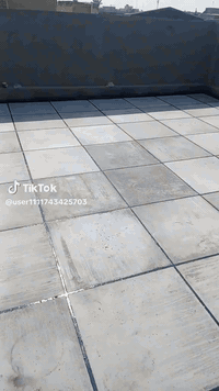 ابو امير • تطبيك شتايكر • السماوه