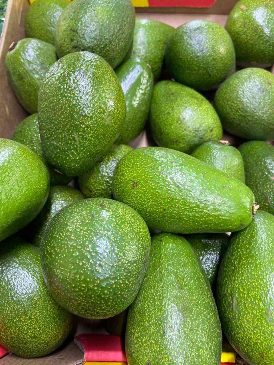 🌟 عروض علوة الجود 🌟
📍 عالم النظافة والترتيب
✨ تميز ومصداقية… توزن بيدك ثم تحاسب ✨
بضاعة بلا منافس 🔥 رقم واحد لأصحاب الذوق الرفيع
📅 اليوم الأربعاء 4/3/2026
🔥🔥🔥🔥🔥
🐔 عروض الدجاج
دجاج عراقي محلي حي ك 4000
أفخاذ دجاج ك 6000
صدر دجاج ك 6000
أجنحة دجاج ك 6000
كبدة صافية ك 6500
رقبة دجاج ك 2000
💚 دجاج عراقي محلي نظافة رقم واحد… والتجربة تثبت ما نقول
🍎🍊 الخضار والفواكه اليومية
🍊 فواكه بأسعار مميزة
🍊 فواكه بأسعار مميزة
برتقال 1000
لالنكي 1000
تفاح أحمر 1000
تفاح أصفر 1000
موز 1250
فراولة 1000
منكة مصرية 2500
بطاطا 750
بطاطا الجزيرة 1000
باقلاء مفلسة 3000
لهانة 500
شونذر 500
شلغم 250
🥦 خضار طازجة يومياً
فطر علبة 2000
فطر 6000
باذنجان عراقي درجة أولى 1500
بصل بارد فول 1000
بصل كرستال فول 1000
خيار عراقي 1250
طماطة عراقية 1000
فلفل بارد 1250
بصل حار 1000
لهانة بيضاء 500
لهانة حمراء 500
شجر عراقي فول 1250
بطاطا سورية كمندوا 1000
بطاطا عراقية 3ك بـ 2000
جزر أفريقي فول 1000
فلفل يمني ألوان 3500
ذرة جاهزة قطعة 1000
بروكلي أفريقي فول 3500
🥬 باقي الخضار
باقلاء خضرة 1250
باقلاء مفلسة قبرصية كيس 2500
باقلاء مفلسة وجهين الكيس 5000
اسكلة أربيل فول 1250
فاصوليا عراقية 2000
قرنابيط تركي فول 1000
خس عراقي فول 1250
خس صيني فول 1500
خس أمريكي فول 2000
طماطة لبنانية فول 1250
زنجبيل أفريقي 6000
سلك باقة دبل 1000
سبانغ 1500
🍉🍈 فواكه موسمية
تمر بريم حر ك 4000
تمر زهدي رطب ك 2000
رطب برحي علبة 4000
ركي يمني ك 1250
بطيخ مصري عسل ك 2000
بطاطا أفريقية حلوة 5000
رطب مكتوم سطل 3500
زنجبيل طازج 5000
طرشي أربيل علبة ك 3000
#قائمة_أسعار_الفواكه 🍓🍇
موز إكس البانه 1000
برتقال لبناني الريان 1500
تفاح لبناني أصفر 1500
تفاح لبناني أحمر 1500
كيوي 1500
تفاح إيطالي أحمر زيتي 2000
تفاح عراقي كاغدي عسل 1500
رمان مصري 1500
رمان سوري 2000
رمان أفريقي 3000
ليمون أخضر سليمانية 2000
ليمون أفريقي كلاص وان 3000
تفاح سكري أثيوبي 3000
خوخ مسكي عسلي 5000
عرموط عسلي 2500
فراولة 4000
عنب ملكي يمني 3000
عنب لبناني حلواني 3000
تين أسود لبناني 3000
أفوكادو لبناني 5000
فاكهة التنين الأمريكي 5000
فيساليس علبة 2000
تين شوكي أفريقي 3000
🌟 علوة الجود
🔹 تميز ومصداقية
🔹 توزن بيدك ثم تحاسب
🔹 بضاعة مرتبة ونظافة عالية
📲 للحجز والاستفسار واتساب فقط: ***********
🚚 خدمة التوصيل 1500
📍 إشارة الأصدقاء… وخليهم يستفادون من أقوى العروض 💚
