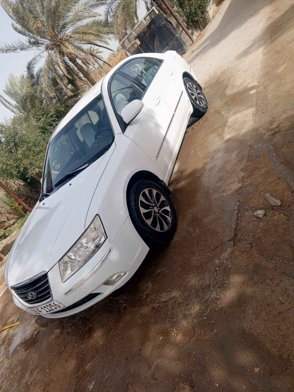 سلام عليكم البيع سوناته مديل 2009 خليجي مكينه 2400 رقم نجف جديد باسمي تحويل ثاني يوم مكينه وكير وحداديه وتخم تاير خير من الله جاهزه على اخر حبايه السعر 113 وبيه مجال مكانه كوفه جسر ام عباسيه رقم ***********
