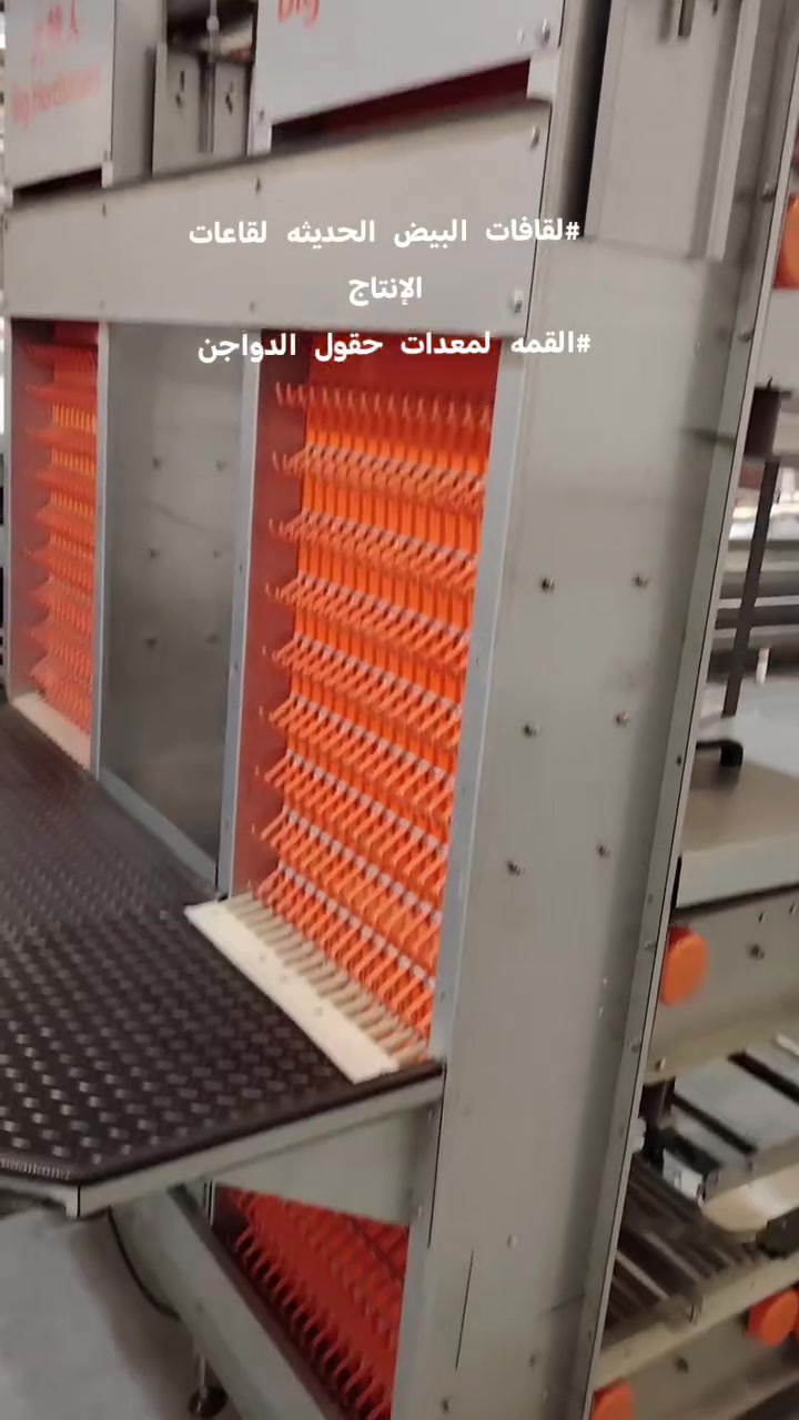 🥚✨ لقافات البيض الحديثة لقاعات الدواجن ✨🥚
نوفر لكم أحدث أنظمة لقافات البيض المصممة لحماية البيض وتقليل الكسر أثناء الإنتاج والنقل داخل القاعات 🐔
✅ جودة تصنيع عالية ومتانة قوية
✅ تصميم عملي يضمن انسيابية حركة البيض
✅ تقليل نسبة الكسر والهدر
✅ سهولة التنظيف والصيانة
✅ مناسبة لأنظمة الدواجن الحديثة والأوتوماتيكية
✅ أداء عالي وكفاءة مستمرة داخل الحقول
💡 الحل الأمثل لمشاريع الدجاج البياض وقاعات الإنتاج الحديثة
📍 القمة لمعدات حقول الدواجن
العنوان: محافظة واسط – قضاء الصويرة – شارع النجمة
📲 للحجز والاستفسار:
مراسلة الصفحة أو التواصل واتساب:
***********
#لقافات_البيض #معدات_دواجن #الدجاج_البياض #قاعات_الدواجن #إنتاج_البيض

