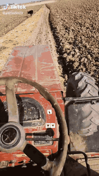 ماكينة توماسان • موديل 13 • ديالى